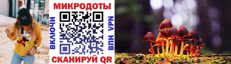 Галлюциногенные грибы Psilocybe  наркошоп  Лобня 