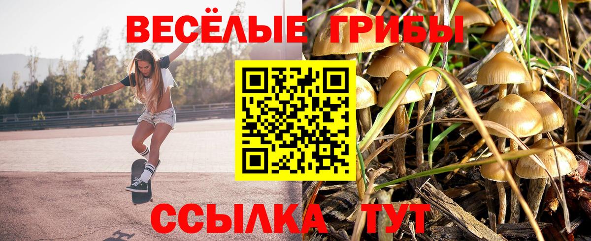 Галлюциногенные грибы Cubensis  Псилоцибиновые грибы Psilocybe  Вход с VPN  Лобня 